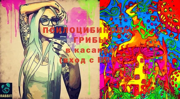 индика Алексеевка